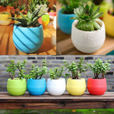 10pcs Flower Pots Colourful Mini Round Plastic Plant Flower Pot Garden Home Office Decor Planter