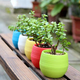 10pcs Flower Pots Colourful Mini Round Plastic Plant Flower Pot Garden Home Office Decor Planter