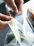 imported fresh airbag thickened refrigerated fruit bag travel wash bag transparent waterproof food bag