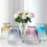 Nordic Glass Vase Simple Gradient Color Hydroponic Plant Vase Dried Flowers Inserted Desktop Ornaments Home Decoration