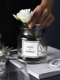Nordic style small glass vase mini wide - mouthed bottle table decorated hydroponic flower zakka
