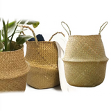 Sea Grass Plant Storage Basket