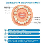 Portable Tooth Keepsake Box, Baby Teeth Box Milk Teeth Save Organizer Kit In Stock